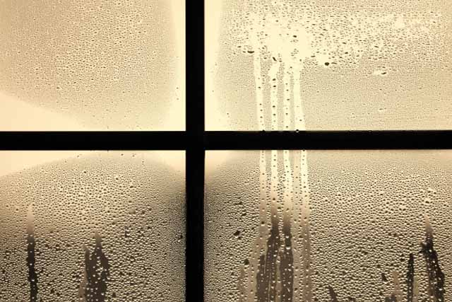 夕方、窓に雨が降りつけている。窓のガラスにはたくさんの水滴がついていて、外と中の寒暖差がある。